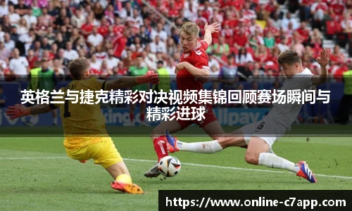 c7娱乐公司